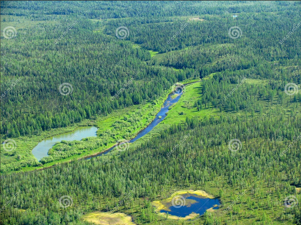[나무은행,3편(끝)]”중국에 뺏기는 시베리아, 8천만이 일어설 마지막 지렛대”